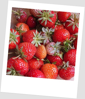 Voedwel, natuurlijk voedingsadvies, natuurvoedingskundige, aardbei